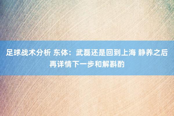 足球战术分析 东体：武磊还是回到上海 静养之后再详情下一步和解斟酌