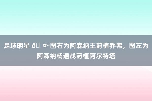 足球明星 🤪图右为阿森纳主莳植乔弗，图左为阿森纳畅通战莳植阿尔特塔