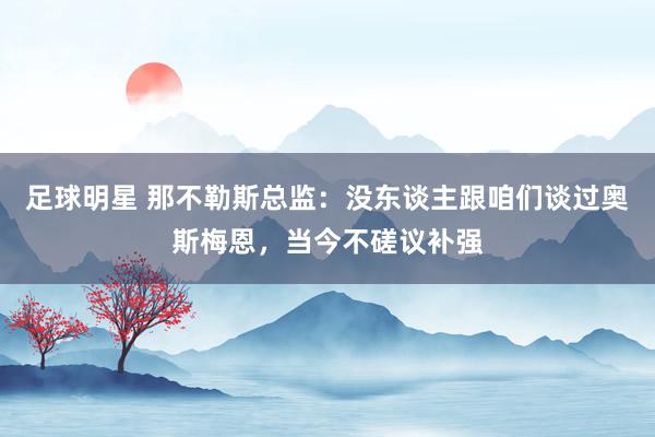 足球明星 那不勒斯总监：没东谈主跟咱们谈过奥斯梅恩，当今不磋议补强